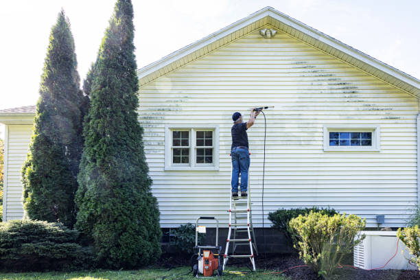 Best Graffiti Removal  in Jenks, OK